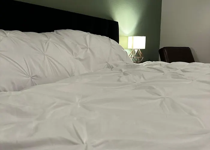 Cosy Entire Apartment Super King Bed Near Town Center